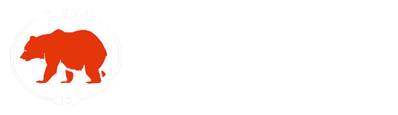Profielektromeister.de